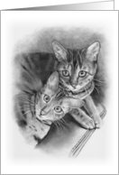 Any Occasion Blank Inside Drawing of a Pair of Bengal Kittens Cats card