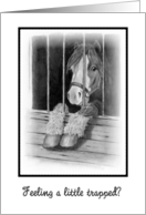 Encouragement Feeling a Little Trapped Humor Cute Pony in Stall card