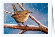 Any Occasion Blank Inside Little Wren Bird in Falling Snow Painting card