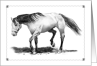 Any Occasion Blank Inside Pencil Drawing of Horse Walking card