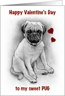 Happy Valentine’s Day to My Pug with Drawing of Dog and Red Hearts card