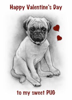 Happy Valentine's Day to My Pug with Drawing of Dog and Red Hearts