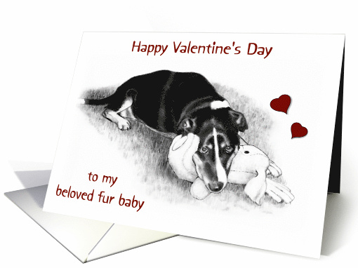 Happy Valentine's Day to My Fur Baby with Drawing of Dog and Toy card