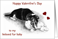 Happy Valentine’s Day to My Fur Baby with Drawing of Dog and Toy card