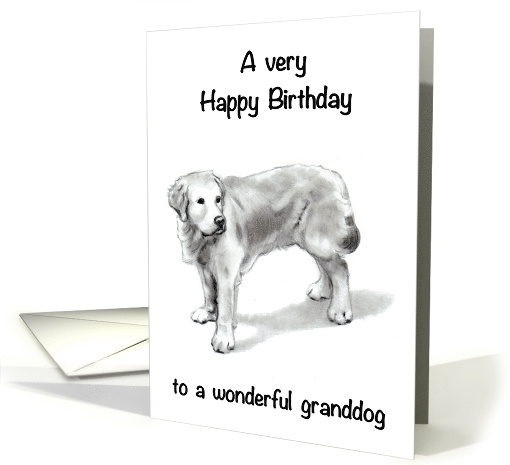 Happy Birthday to To Wonderful Granddog With Retriever Drawing card