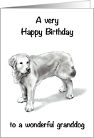 Happy Birthday to To Wonderful Granddog With Retriever Drawing card