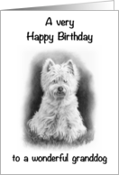 Happy Birthday to To Wonderful Granddog Scottish Terrier Westie card