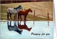 Religious Encouragement Praying For You Painting of Horses by Water card