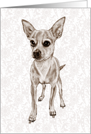 Any Occasion Blank Inside Drawing of Chihuahua Dog in Sepia card