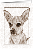 Any Occasion Blank Inside Drawing of Chihuahua Dog in Sepia card