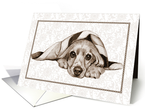 Any Occasion Blank Inside Drawing of Cocker Spaniel Dog Blanket card