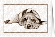 Any Occasion Blank Inside Drawing of Cocker Spaniel Dog Blanket card