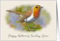 Happy Mothering Sunday Gran with Artwork of Robin Bird Springtime card