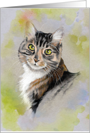 Any Occasion Blank Inside with Drawing of Green Eyed Cat Kitten card