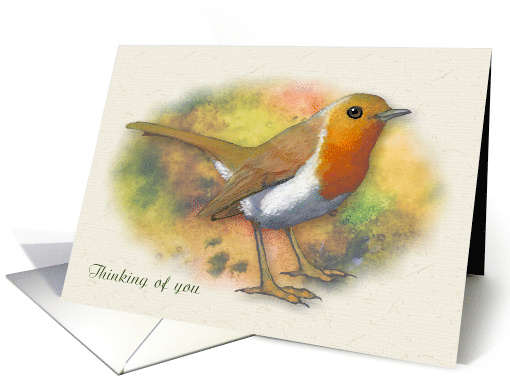 Thinking of You General with English Robin Wildlife Bird Art card