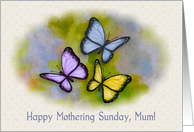 Happy Mothering Sunday Mum with Artwork of Butterflies card