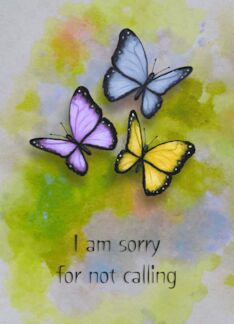 Apology for Not...
