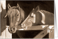 Any Occasion Blank Inside Two Horses Peeking Through Barn Door card