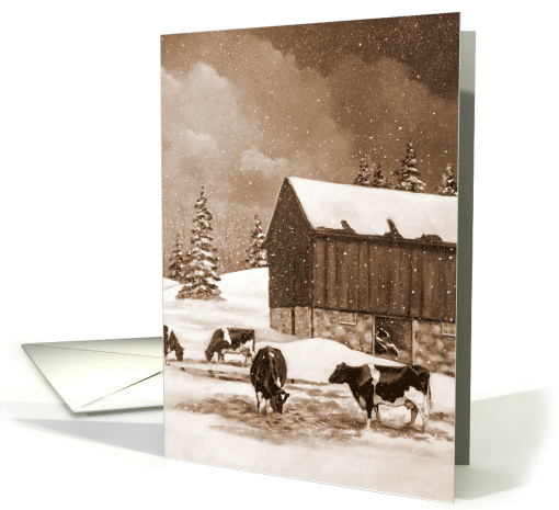 Any Occasion Blank Inside Cows in Snow With Old Barn... (1674996)