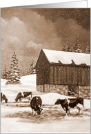 Any Occasion Blank Inside Cows in Snow With Old Barn Sepia Painting card