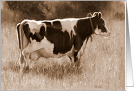 Any Occasion Blank Inside Holstein Cow Painting in Sepia Farm Animal card