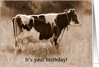Happy Birthday Humor with Cow Milk It For What It’s Worth Farm Life card