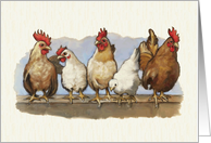 Any Occasion Blank Inside with Painting of Chickens and Roosters card