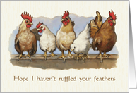 Belated Birthday Humor Chickens Hope I Didn’t Ruffle Your Feathers card