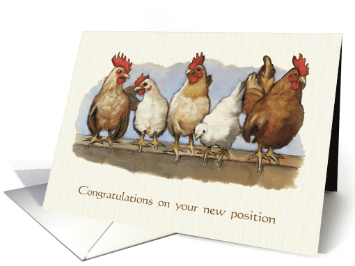 Promotion Congratulations Moved Up in Pecking Order Chicken Art card