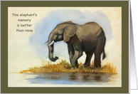 Belated Happy Birthday Elephant Memory Better Than Mine card