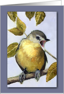 Any Occasion Blank Inside Painting of Bird Vireo Wildlife Art card