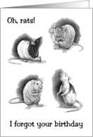 Belated Birthday Humor Oh Rats I Forgot Pencil Drawing of Rats card