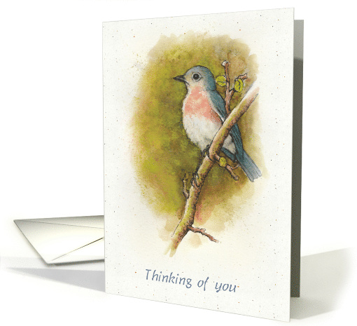 Thinking of You General with Watercolor Painting of Bird... (1686404)