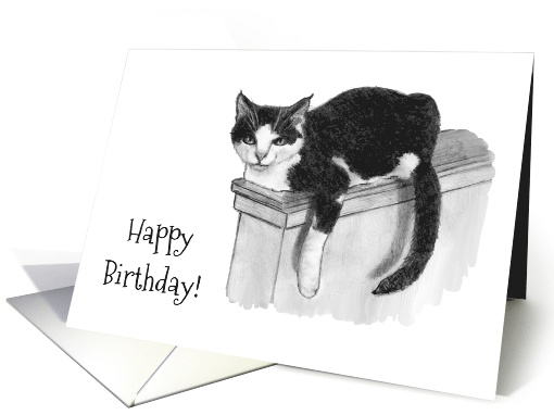 General Birthday You Are the Cat's Meow with Drawing of... (1688440)