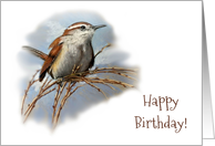 General Birthday with Bird Caroline Wren in Pastel Illustration card