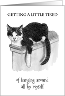 Coronavirus Isolation Miss You Let’s Reconnect with Drawing of Cat Hanging Out card