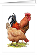 Any Occasion Blank Inside with Artwork of Rooster And Hen Chicken card