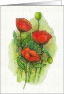 Any Occasion Blank Inside Artwork of Red Poppy Flowers with Speckled Effects card