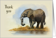 General Thank You with Elephant Painting What You Did was Huge card