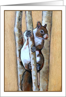 Any Occasion Blank Inside with Painting of Squirrel in Tree card