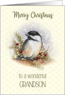 Merry Christmas to Wonderful Grandson with Chickadee and Berries card