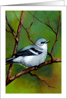 Any Occasion Blank Inside with Painting of Cerulean Warbler Bird card