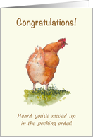 Congratulations on Promotion Chicken Moved Up in Pecking Order Humor card