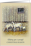 General Christmas Greetings Sheep Standing in Snow Peaceful Season card