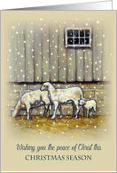 Religious Christmas Greetings Sheep Standing in Snow Peace of Christ card