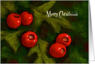 Merry Christmas for Anyone with Hawthorn Berries Illustration card