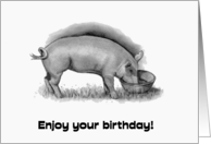 General Happy Birthday Humor Hog the Limelight with Drawing of Pig card