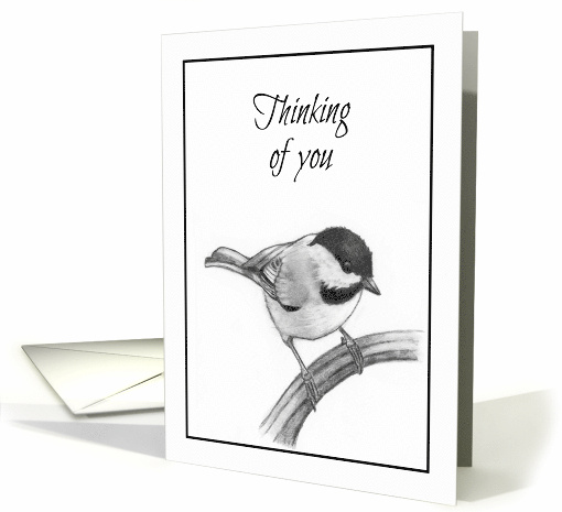 General Thinking of You With Pencil Drawing of Chickadee Bird card