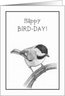 General Birthday Pun Humor Bird Day with Chickadee Pencil Drawing card