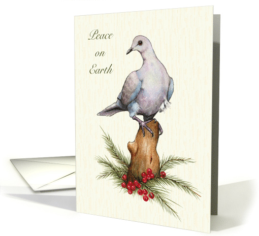 Christmas Religious with Dove and Pine Branches and Berries Art card